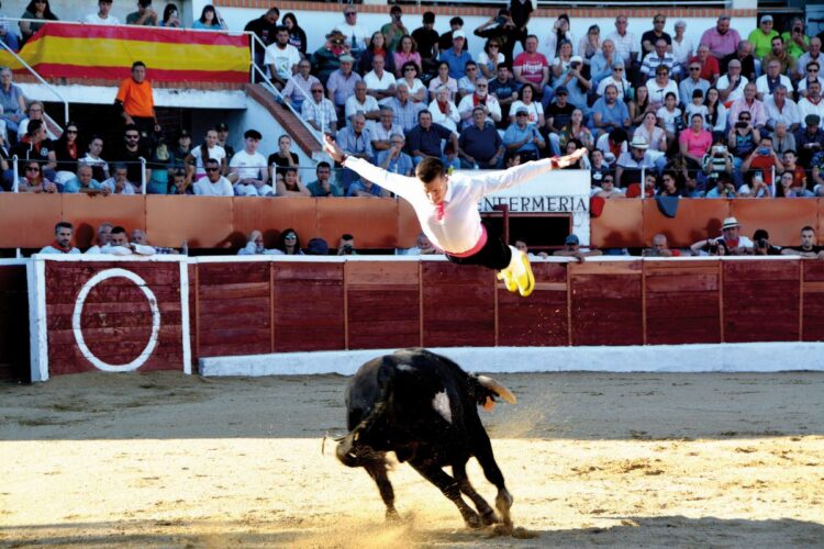 El toro bravo como catalizador de una fiesta que se renueva cada año.                                   ayuntamiento de Nava de la asunción. / Ayuntamiento Nava de la Asunción