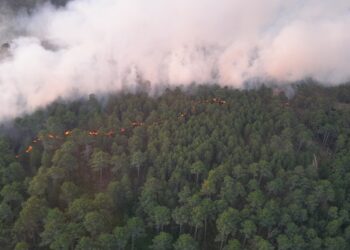 Imagen de archivo de un incendio en la sierra de Guadarrama