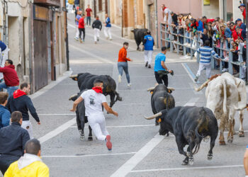 Varios toros protagonizaron momentos de tensión en el recorrido urbano / ICAL