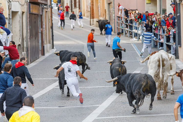 Varios toros protagonizaron momentos de tensión en el recorrido urbano / ICAL