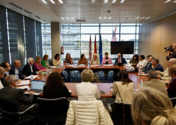 La Consejera de Industria preside el Consejo de Comercio de Castilla y León. / Leticia Pérez