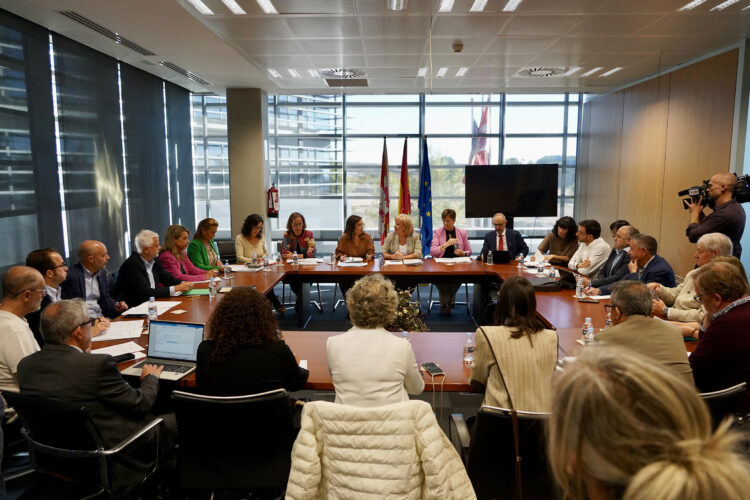 La Consejera de Industria preside el Consejo de Comercio de Castilla y León. / Leticia Pérez