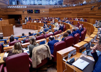 Segunda sesión de Pleno en las Cortes autonómicas. / Leticia Pérez