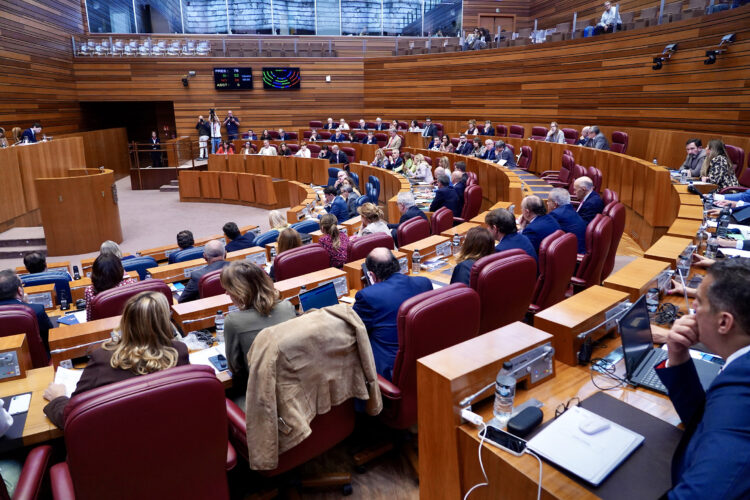 Segunda sesión de Pleno en las Cortes autonómicas. / Leticia Pérez