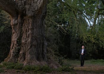 Un fotograma de “Silent friend”, de Ildikó Enyedi.