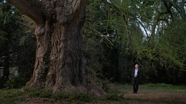 Un fotograma de “Silent friend”, de Ildikó Enyedi.