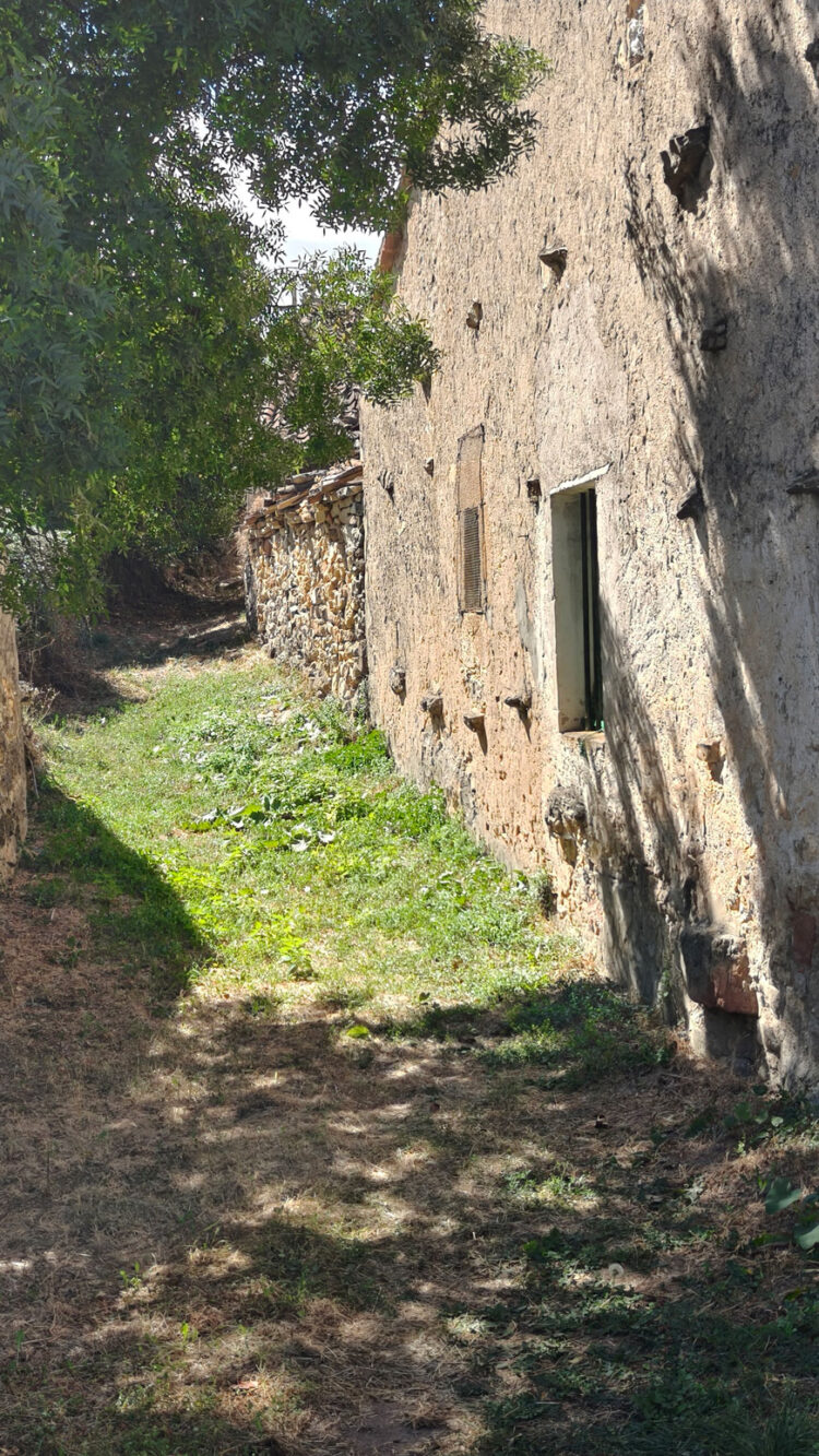 El verde cubre algunos rincones de Arconcillos.