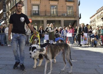 Instante de la celebración del evento solidario en la edición anterior / PROTECTORA DE ANIMALES DE SEGOVIA