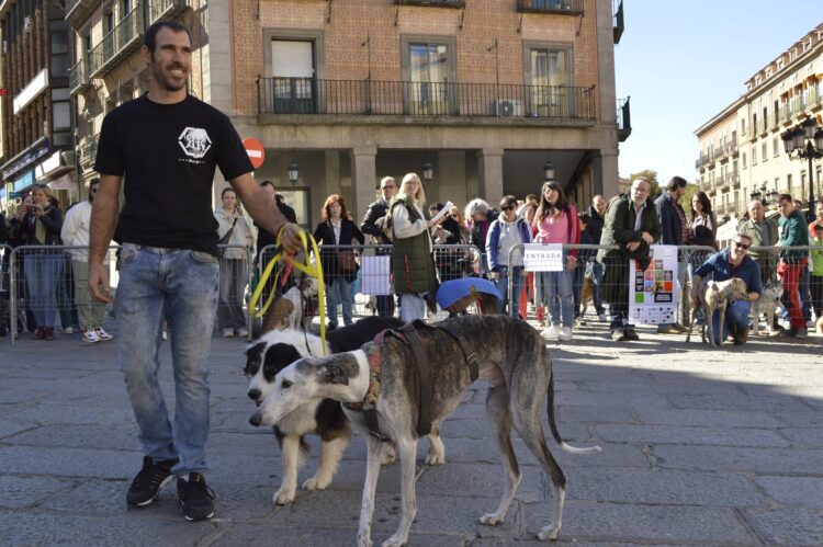 Instante de la celebración del evento solidario en la edición anterior / PROTECTORA DE ANIMALES DE SEGOVIA
