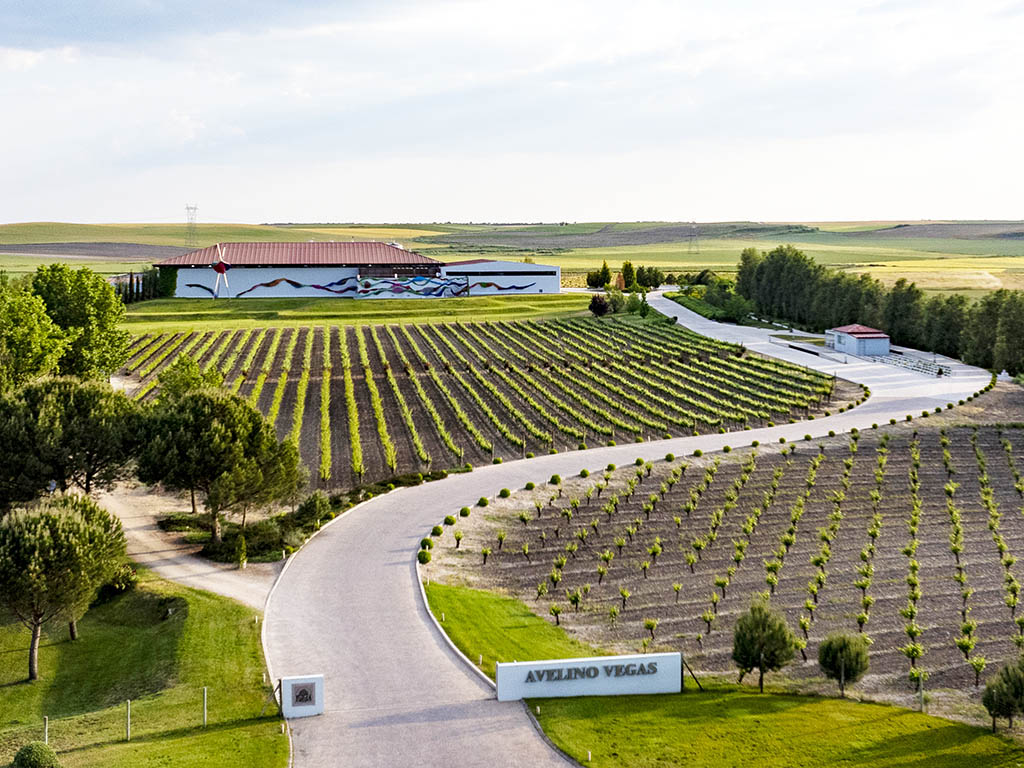 Maridaje entre la calidad y el prestigio 2 Instalaciones y viñedos de la bodega de Avelino Vegas, en Santiuste de San Juan Bautista. / A.V.
