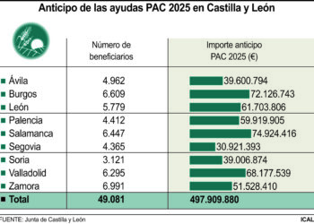 Anticipo de las ayudas PAC 2025 en Castilla y León.