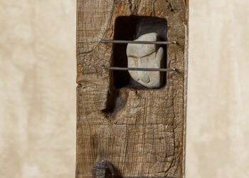 CADENA PERPETUA.MAria Guzman