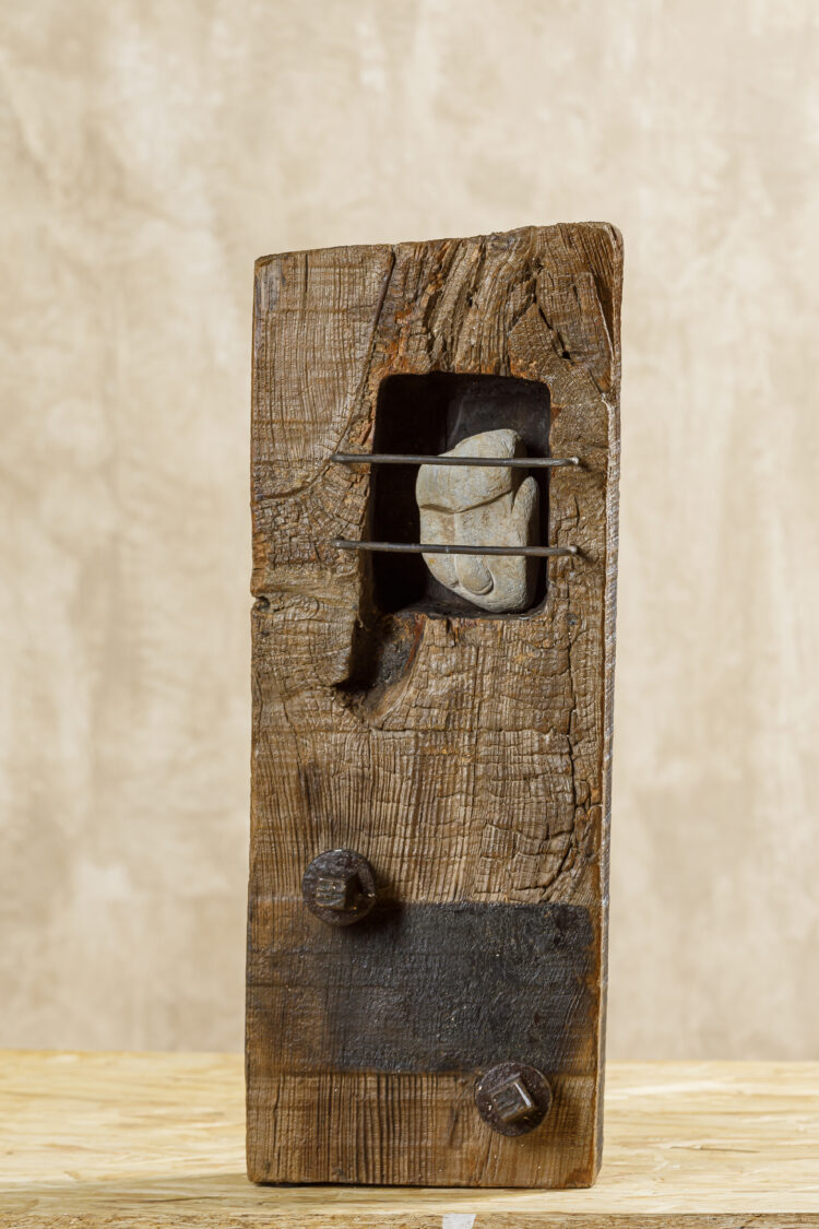 CADENA PERPETUA.MAria Guzman