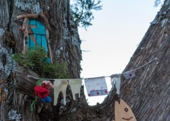 La senda traza un recorrido circular que une el monte de sabinas y el cauce del río Caslilla / AYTO. DE CASLA