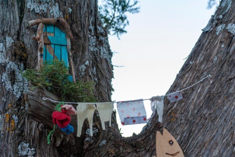 La ‘Senda Mágica’ de Casla, una ruta de ilusión y fantasía 1 La senda traza un recorrido circular que une el monte de sabinas y el cauce del río Caslilla / AYTO. DE CASLA