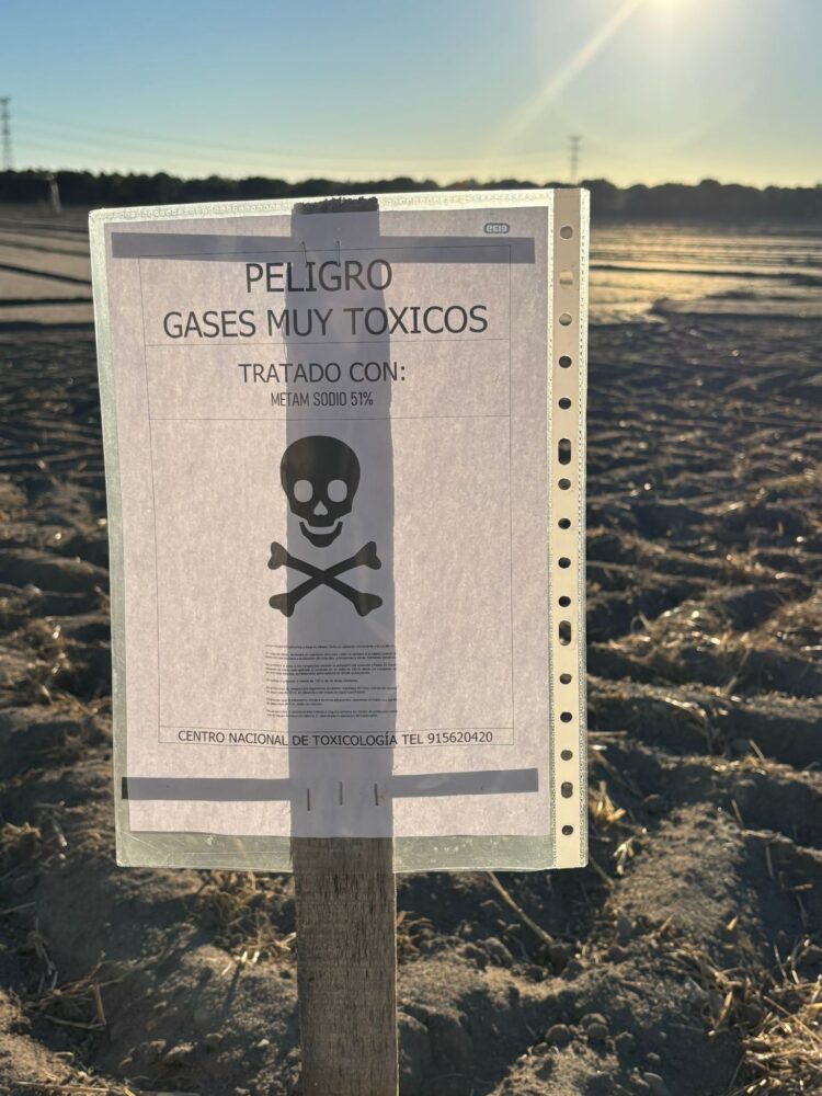 Un cartel avisa del peligro que supone la fumigación que se está realizando en la finca./ E. A.