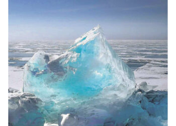 Dia Mundial del Cambio Climatico 2025 1 1