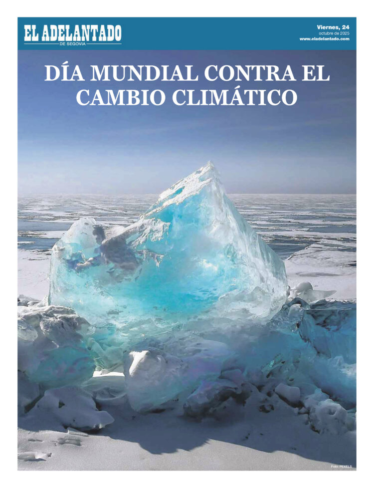 Dia Mundial del Cambio Climatico 2025 1 1