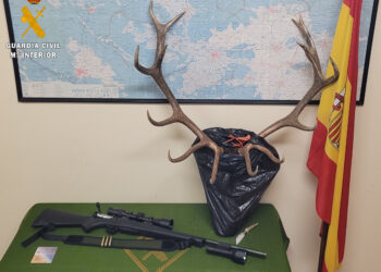 Efectos intervenidos / GUARDIA CIVIL