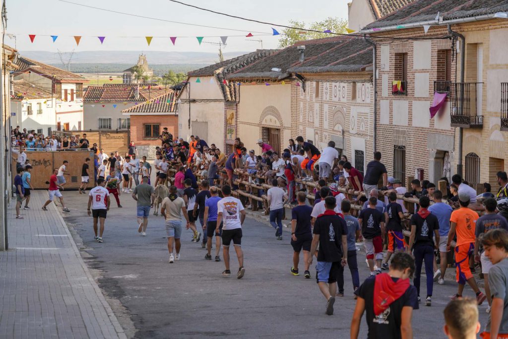 Fotografia Miguel Angel Fernandez 13 17 1024x683 1