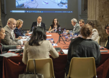 Pleno del Consorcio del Museo Esteban Vicente de Segovia. / KAMARERO