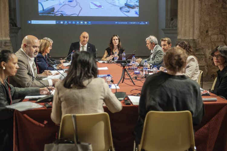 El Museo 'Esteban Vicente' retoma la actividad con Laura Torrado 1 Pleno del Consorcio del Museo Esteban Vicente de Segovia. / KAMARERO