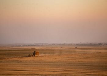 Tierras de cultivo de cereal en Tierra de Campos.