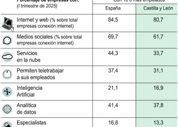Uso de TIC y comercio electrónico en las empresas.