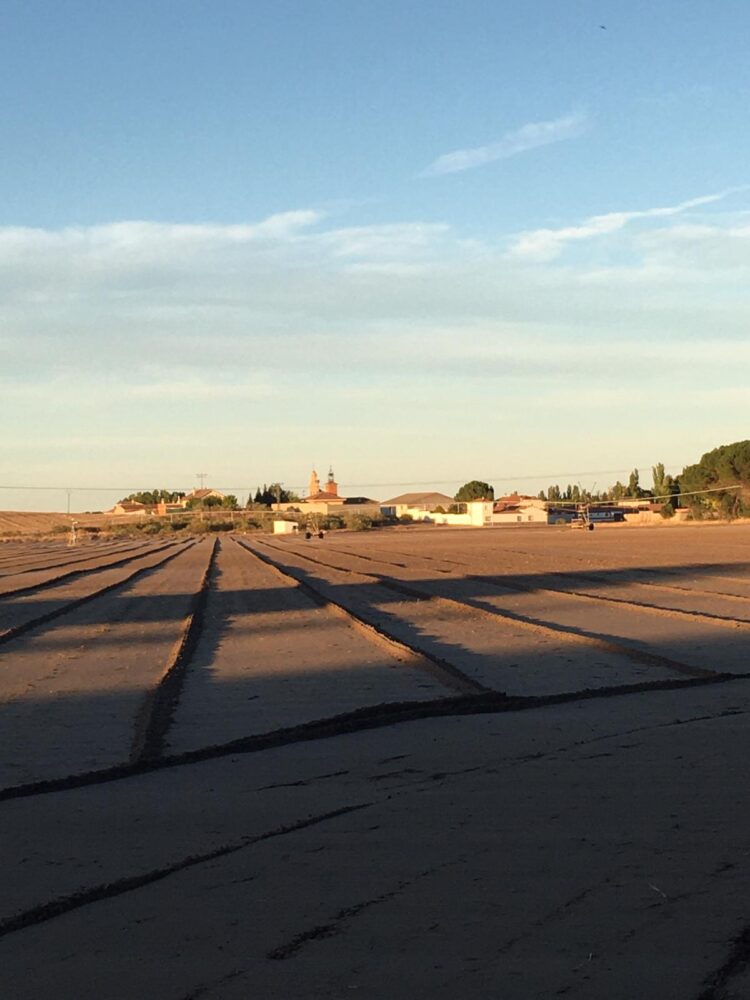 Noelia Herrero: “Algo no se ha hecho bien para que todo un pueblo se intoxique” 1 WhatsApp Image 2025 10 06 at 14.41.59 1