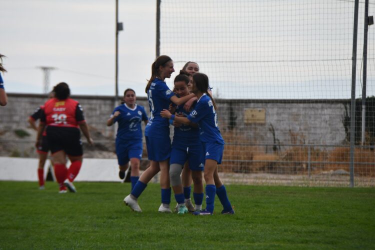 Las jugadoras del Cuéllar celebran un gol ante Arévalo./DARÍO CACHORRO