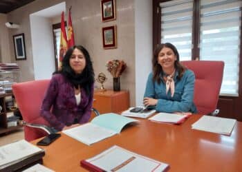 La delegada territorial de la Junta ha mantenido una reunión con la alcaldesa de Ayllón en la Delegación Territorial / JCYL