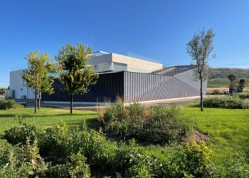 La andadura de Avelino Vegas comenzó con diez tinajas de 100 cántaras en el año 1950. / AVELINO VEGAS