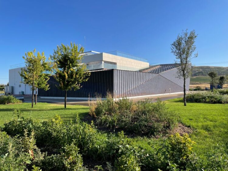 La andadura de Avelino Vegas comenzó con diez tinajas de 100 cántaras en el año 1950. / AVELINO VEGAS