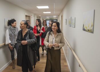 Un momento de la visita de los representantes de la Fundación Harriet y el Museo Esteban Vicente./ DIPUTACIÓN