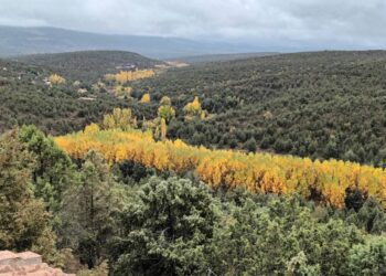 Monte de los Cortos, donde se quiere instalar la antena./ E.A.