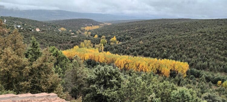 Monte de los Cortos, donde se quiere instalar la antena./ E.A.