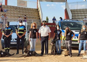 Viocan es un proyecto de terapia con perros para víctimas de violencia de género.
