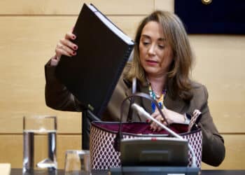 Comparecencia de la Consejera de Agricultura en las Cortes para explicar los PGC. / Leticia Pérez