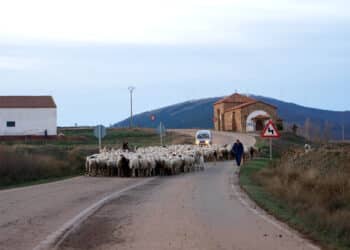 Los  Presupuestos para 2026 reflejan una partida de diez millones para este plan. / Miriam Chacón
