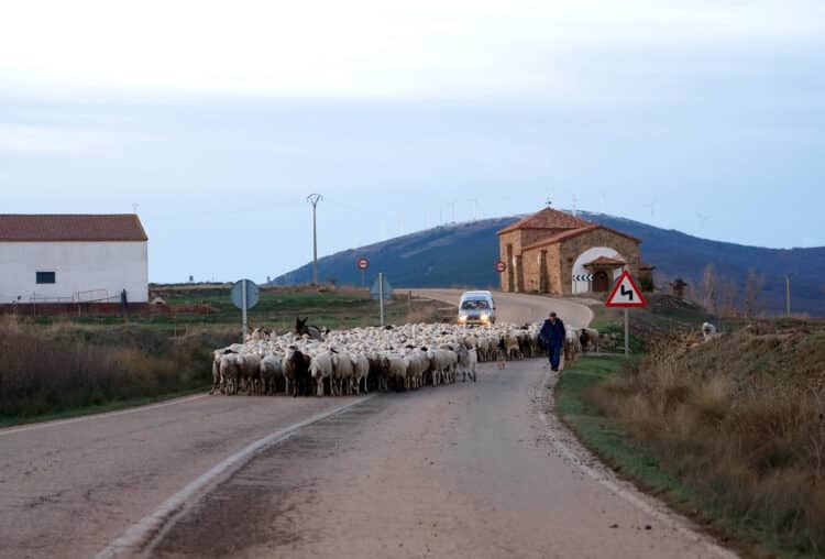 Los  Presupuestos para 2026 reflejan una partida de diez millones para este plan. / Miriam Chacón