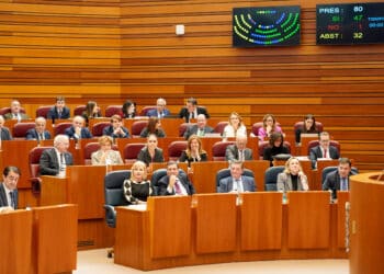 Sesión de Pleno de este miércoles en las Cortes de Castilla y León. / Leticia Pérez