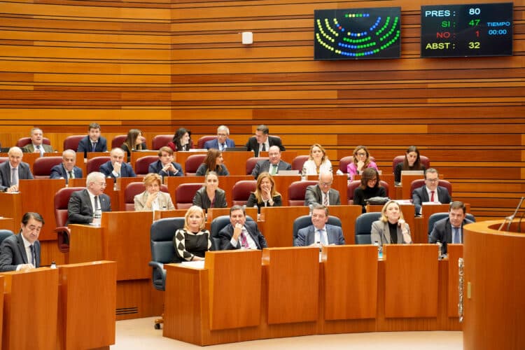 Sesión de Pleno de este miércoles en las Cortes de Castilla y León. / Leticia Pérez