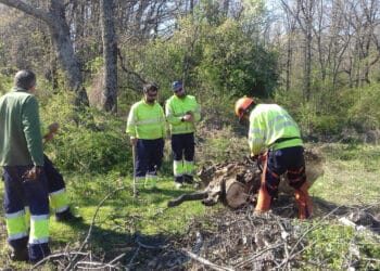 Estudiantes-Trabajadores en una edición anterior