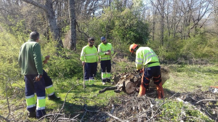 Estudiantes-Trabajadores en una edición anterior