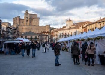 Mercadillo de productos locales y artesanía en la plaza de Turégano./HÉCTOR CRIADO