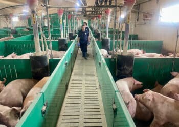 526956148 1093687059530097 6131731236690044556 n