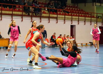 Sasha Williams busca un pase en un instante del duelo entre el Cochinillo Segoviano y Formaspack La Paz./JESÚS GÓMEZ