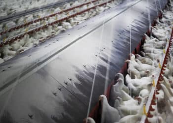 5f12675f249dbf956375ca8f0d71046194d1a4d7