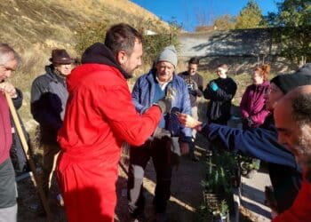 Una treintena de personas participaron en la plantación de árboles.