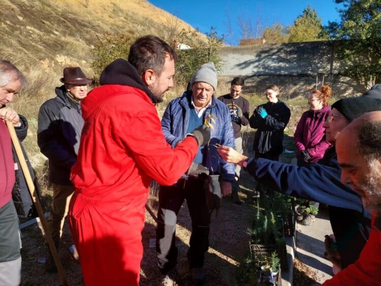 Una treintena de personas participaron en la plantación de árboles.